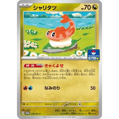 シャリタツarのおすすめ人気ランキングTOP100 - Yahoo!ショッピング