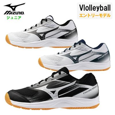 MIZUNO バレーボールシューズ（サイズ（cm）：22cm
