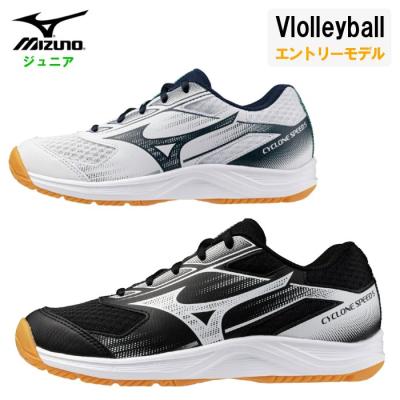 MIZUNO バレーボールシューズ（サイズ（cm）：22cm