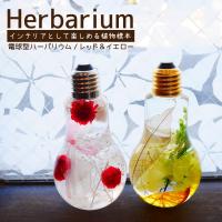 ハーバリウム Herbarium プリザーブドフラワー 電球 瓶 ボトル 植物 