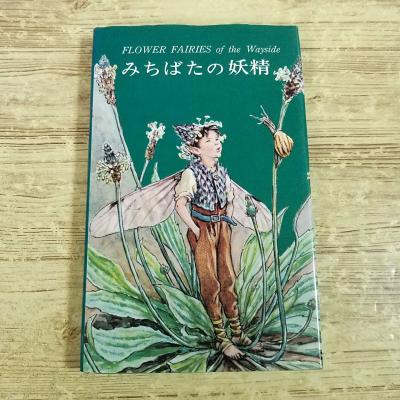 ☆ シシリー・メアリー・バーカー 洋書 画集 花の妖精シリーズ 12冊