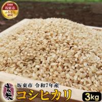 ふるさと納税 玄米　コシヒカリ3kg【令和7年産】 ／ こしひかり 令和7年 新米 米 お米 おこめ こめ コメ 玄米 げんまい ご飯 国産米 3kg 3キロ .. 茨城県坂東市 | ふるなび(ふるさと納税)