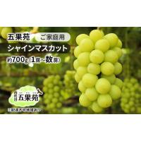 ふるさと納税 ご家庭用 シャインマスカット 約700g（1房〜数房） ぶどう フルーツ 果物 岡山 五果苑 岡山県玉野市 | ふるなび(ふるさと納税)