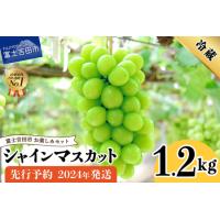 ふるさと納税 2024年発送 【お楽しみセット】  山梨県産 シャインマスカット 2房 (1.2kg以上)  山梨県産 シャインマスカット 2房 果物 シャ.. 山梨県富士吉田市 | ふるなび(ふるさと納税)