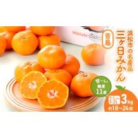ふるさと納税 三ヶ日みかん 青島 3kg L又は2L 1月中旬より順次発送 みかん ミカン 蜜柑 青島みかん 三ヶ日 果物 くだもの フルーツ 旬の果物 旬.. 静岡県浜松市 | ふるなび(ふるさと納税)