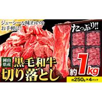 ふるさと納税 【訳あり】黒毛和牛切り落とし小分け 約1kg 約250g×4《60日以内に出荷予定(土日祝除く)》｜肉肉肉肉肉肉肉肉肉肉肉肉肉肉肉肉.. 岡山県笠岡市 | ふるなび(ふるさと納税)