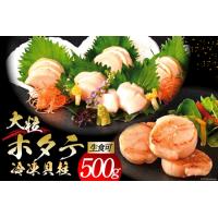 ふるさと納税 ＜先行受付＞大粒 ホタテ貝柱 生食可 500g [かみたいら 宮城県 気仙沼市 20562168] ホタテ 帆立 ほたて 貝柱 大 大玉 小分け 刺.. 宮城県気仙沼市 | ふるなび(ふるさと納税)