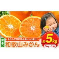 ふるさと納税 訳ありみかん 約5kg《11月中旬-1月中旬頃出荷》 和歌山県紀の川市 | ふるなび(ふるさと納税)