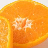 ふるさと納税 【2026年11月下旬より発送】完熟有田みかん　10kg【日高町】【1216968】 和歌山県日高町 | ふるなび(ふるさと納税)