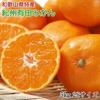 ふるさと納税 ZD7013_【2026年先行予約】【秀品】和歌山 有田みかん 5kg（2Sサイズ） 和歌山県湯浅町 | ふるなび(ふるさと納税)