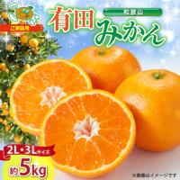 ふるさと納税 【2026年先行予約】ご家庭用　和歌山有田みかん 約5kg (2L、3Lサイズいずれか)【湯浅町】_ZJ6084 和歌山県湯浅町 | ふるなび(ふるさと納税)