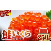 ふるさと納税 【期間限定！寄附額改定↓！】鮭 いくら 醤油漬け 250g×1パック 北海道 釧路 ふるさと納税 いくら イクラ 丼 ごはんのお供 魚.. 北海道釧路市 | ふるなび(ふるさと納税)
