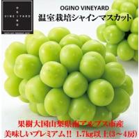 ふるさと納税 5-130 【2024年先行予約】早期出荷温室栽培シャインマスカット1.7kg以上3〜4房入ギフト化粧箱入り　お中元　贈り物用に 山梨県南アルプス市 | ふるなび(ふるさと納税)