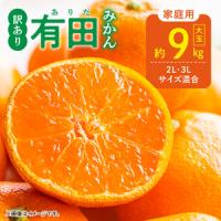 ふるさと納税 【2026年先行予約】ご家庭用 有田みかん 大玉(2L,3Lサイズ混合) 約9kg_DZ6217 和歌山県湯浅町 | ふるなび(ふるさと納税)