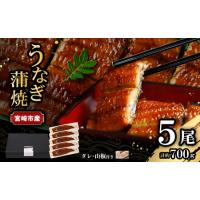 ふるさと納税 宮崎県宮崎市産　うなぎの蒲焼　約700g（約140g×5尾）タレ・山椒セット 鰻 ウナギ 丑の日 宮崎県宮崎市 | ふるなび(ふるさと納税)