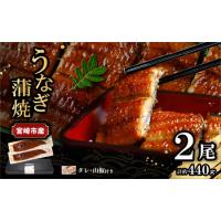 ふるさと納税 宮崎県宮崎市産　うなぎの蒲焼　約440g（約220g×2尾）タレ・山椒セット 鰻 ウナギ 丑の日 宮崎県宮崎市 | ふるなび(ふるさと納税)