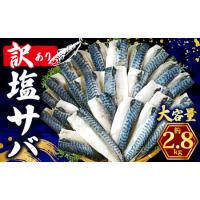ふるさと納税 訳あり 塩鯖 2.8kg 鯖 千葉県銚子市 | ふるなび(ふるさと納税)