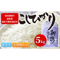 ふるさと納税 令和5年 栽培期間中減農薬・減化学肥料栽培米こしひかり5kg 無洗米 定期便6ヶ月 新潟県新潟市 | ふるなび(ふるさと納税)