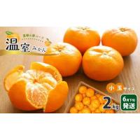 ふるさと納税 温室 みかん 小玉 約 2kg | 果物 くだもの フルーツ みかん ミカン 蜜柑 熊本 玉名 熊本県玉名市 | ふるなび(ふるさと納税)