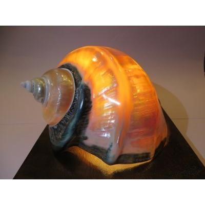 夜光貝 ランプのおすすめ人気商品一覧 通販 - Yahoo!ショッピング