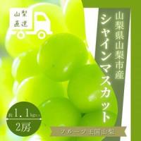 ふるさと納税 【数量限定】山梨県山梨市産 シャインマスカット 2房 1.1kg以上【配送不可地域：離島】【1476626】 山梨県山梨市 | ふるなび(ふるさと納税)