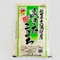 ふるさと納税 【毎月定期便】あきたこまち精米5kg全11回【4009348】 秋田県大潟村 | ふるなび(ふるさと納税)