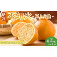 ふるさと納税 【限定】 不知火 樹上完熟 約2kg （5〜6個入）【先行予約】【2025年2月中旬頃から発送】【KG6】 和歌山県高野町 | ふるなび(ふるさと納税)