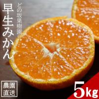 ふるさと納税 甘い!どの坂果樹園の早生みかん　約5kg【サイズおまかせ・畑のまんま規格】【配送不可地域：離島・北海道・沖縄県】【1492087】 和歌山県日高町 | ふるなび(ふるさと納税)