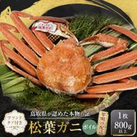 ふるさと納税 【先行予約】松葉ガニ ブランド タグ付き ボイル 1枚 800g 以上 年明け 配送 松葉がに 鳥取県琴浦町 | ふるなび(ふるさと納税)