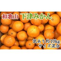 ふるさと納税 【訳あり】和歌山下津みかん約10kgご家庭用向け(サイズ混合) 【2026年11月中旬〜2027年1月中旬頃に順次発送】［TM78］【TM92.. 和歌山県かつらぎ町 | ふるなび(ふるさと納税)