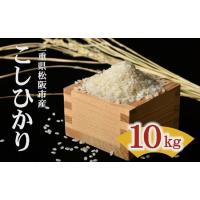 ふるさと納税 松阪産コシヒカリ精米　１0ｋｇ（5ｋｇ×2）【期間限定】【1.1-16】 三重県松阪市 | ふるなび(ふるさと納税)