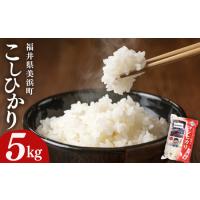 ふるさと納税 【先行予約】【令和7年産】米 コシヒカリ 5kg × 1袋 精米 福井県美浜町産【2026年6月下旬発送予定】 [m60-a018_06] 福井県美浜町 | ふるなび(ふるさと納税)