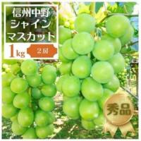 ふるさと納税 長野県中野市産ぶどう・シャインマスカット秀品 1kg箱 2房入り【配送不可地域：離島】【1494255】 長野県中野市 | ふるなび(ふるさと納税)