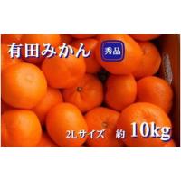 ふるさと納税 ▼紀州有田みかん 秀品 10kg 2Lサイズ　※2024年11月下旬頃より順次発送予定 【sml004-r-10-2l】 和歌山県広川町 | ふるなび(ふるさと納税)