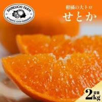 ふるさと納税 柑橘の大トロ【せとか 2kg】〜とろける濃厚果実〜【C70-8】【1451139】 愛媛県八幡浜市 | ふるなび(ふるさと納税)
