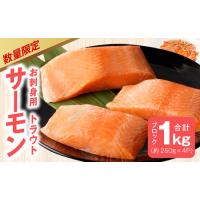 ふるさと納税 【期間限定】お刺身用 サーモン 1kg ブロック 小分け 約250g×4P ポーション 柵 訳あり サイズ不揃い 大阪府泉佐野市 | ふるなび(ふるさと納税)