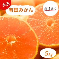 ふるさと納税 和歌山県産 有田みかん 大玉5kg 2L〜3L 訳あり　※2026年10月中旬〜2027年1月中旬頃に順次発送予定（お届け日指定不可）【ミカン.. 和歌山県北山村 | ふるなび(ふるさと納税)