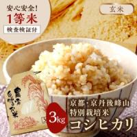 ふるさと納税 2026年産 京都・京丹後峰山 特別栽培米コシヒカリ 3kg 【玄米】 1等米 検査済証付 米 ふるさと納税 コシヒカリ ふるさと納税 白.. 京都府京丹後市 | ふるなび(ふるさと納税)