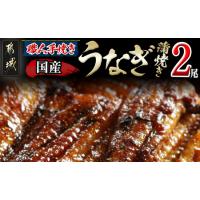 ふるさと納税 鰻専門店・職人手焼きの本格うなぎ蒲焼き2尾_MJ-3305_(都城市) 国産 本格 うなぎ 鰻 蒲焼 宮崎 柳川屋 宮崎県都城市 | ふるなび(ふるさと納税)