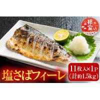ふるさと納税 塩さばフィーレ11枚入×1P(計約1.5kg) G-14021 北海道根室市 | ふるなび(ふるさと納税)