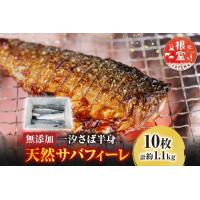 ふるさと納税 無添加天然サバフィーレ10枚 G-14022 北海道根室市 | ふるなび(ふるさと納税)