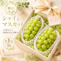 ふるさと納税 ぶどう シャインマスカット 種なし 計約1kg 2房 ぶどう 宮城県岩沼市 | ふるなび(ふるさと納税)