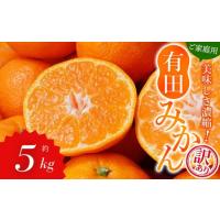 ふるさと納税 【訳あり】農家直送 有田みかん 約5kg ご家庭用 サイズ混合 ※2025年11月中旬より順次発送予定（お届け日指定不可）※北海道・沖.. 和歌山県串本町 | ふるなび(ふるさと納税)