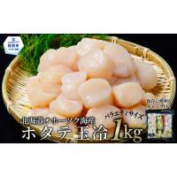 ふるさと納税 24-120 北海道オホーツク海産ホタテ玉冷バラエティサイズ(1kg)｜ 訳あり サイズ不揃い 北海道紋別市 | ふるなび(ふるさと納税)