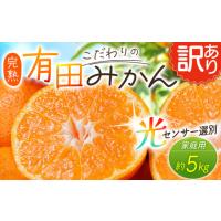 ふるさと納税 【訳あり】農家直送 有田みかん 約5kg ご家庭用 サイズ混合 ※2025年11月中旬より順次発送予定（お届け日指定不可）※北海道・沖.. 和歌山県新宮市 | ふるなび(ふるさと納税)