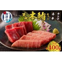 ふるさと納税 a17-020　『まぐろの魚二』天然本鮪中トロ・赤身約400gセット 静岡県焼津市 | ふるなび(ふるさと納税)