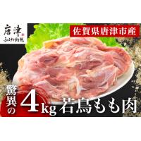 ふるさと納税 唐津市産 若鳥もも肉4kgセット 鶏肉 唐揚げ 親子丼 お弁当「2024年 令和6年」 佐賀県唐津市 | ふるなび(ふるさと納税)