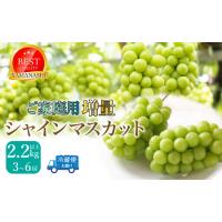 ふるさと納税 【2026年発送☆先行予約】ご家庭用シャインマスカット2.2