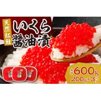 ふるさと納税 北海道加工　紅鮭いくら醤油漬け　600g| 札幌 いくら 北海道札幌市 | ふるなび(ふるさと納税)
