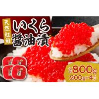 ふるさと納税 北海道加工　紅鮭いくら醤油漬け　800g | 札幌 いくら 北海道札幌市 | ふるなび(ふるさと納税)